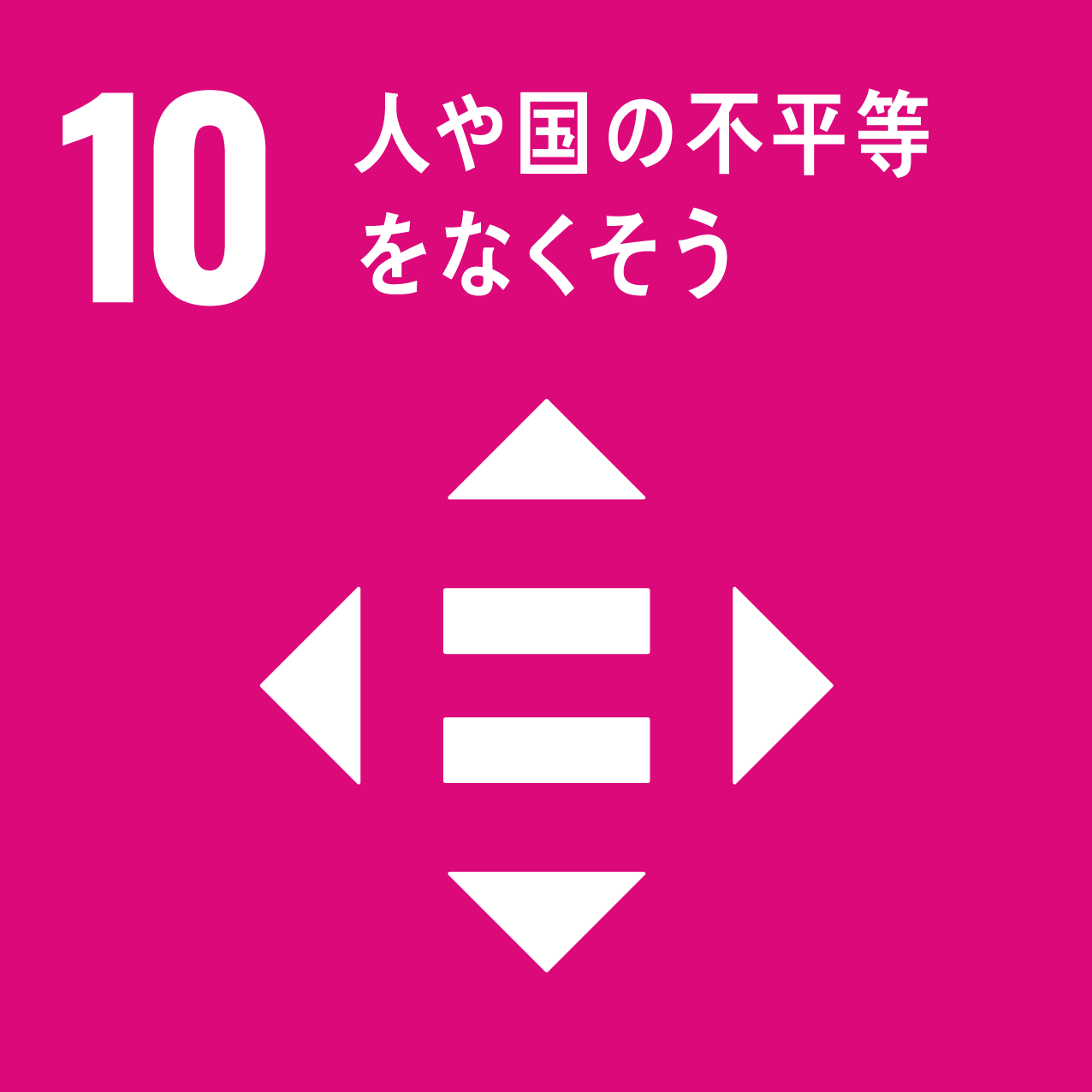 10.人や国の不平等をさくそう